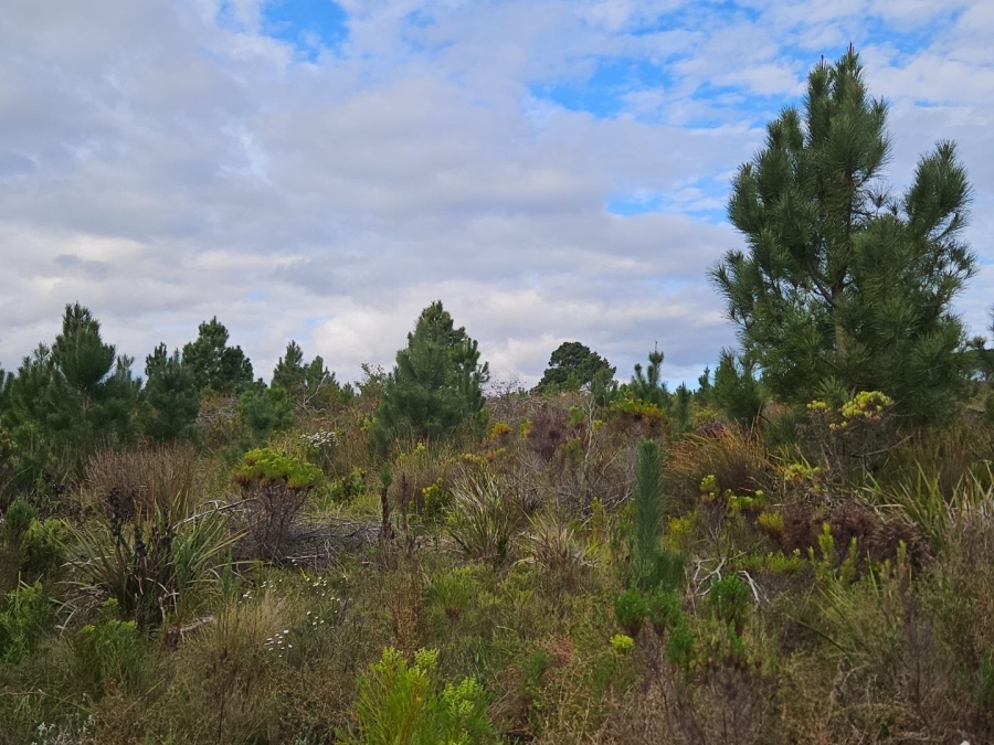 2 Bedroom Property for Sale in Baardskeerdersbos Western Cape